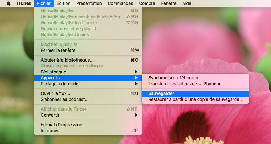 Comment sauvegarder votre iPhone avec iTunes