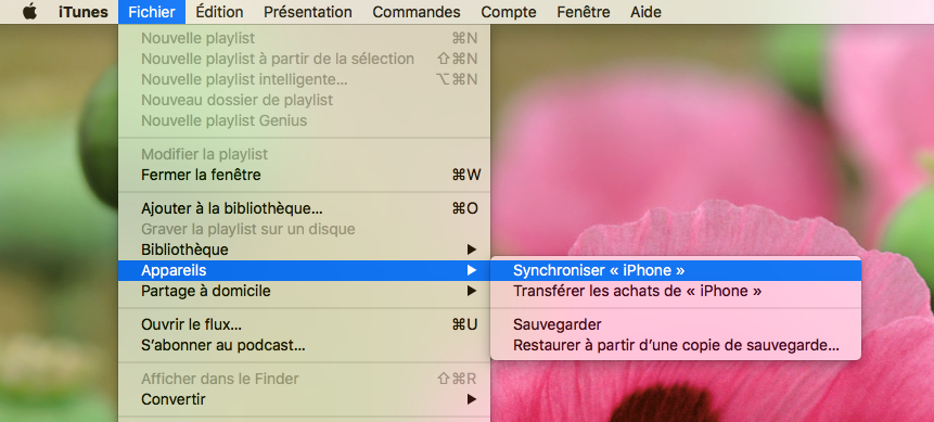 Comment synchroniser votre iPhone avec iTunes