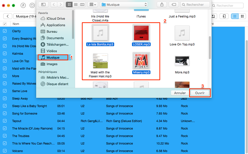 Mettre de la musique sur ipod touch sans itunes