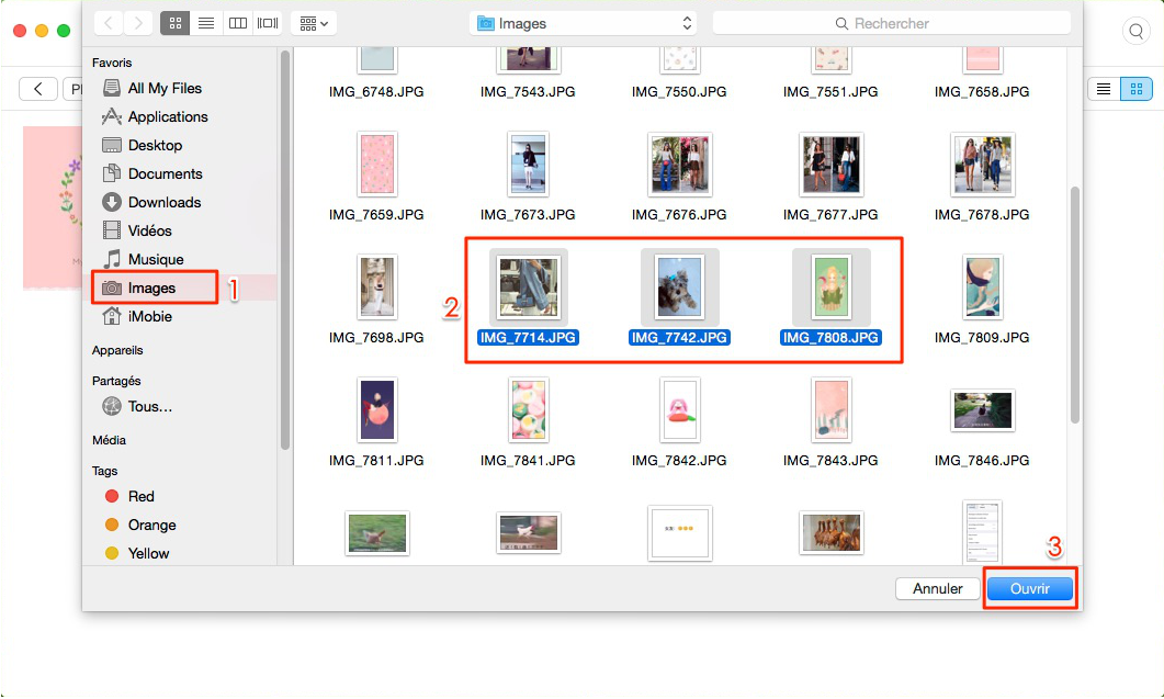 Comment importer les photos Mac vers iPhone via AnyTrans pour iOS - étape 3