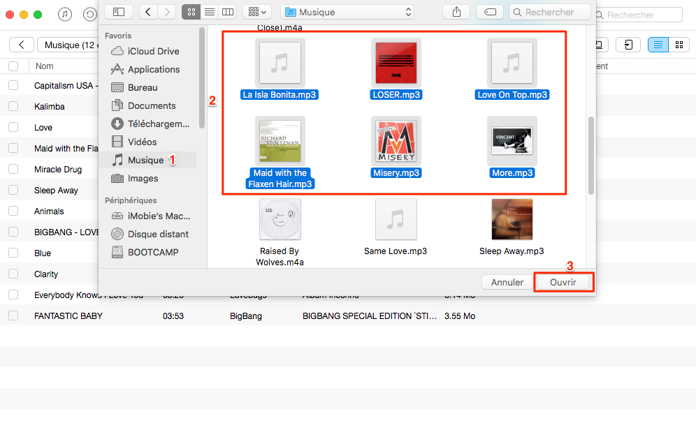 Mettre de la musique directement sur iPhone avec AnyTrans - étape 3