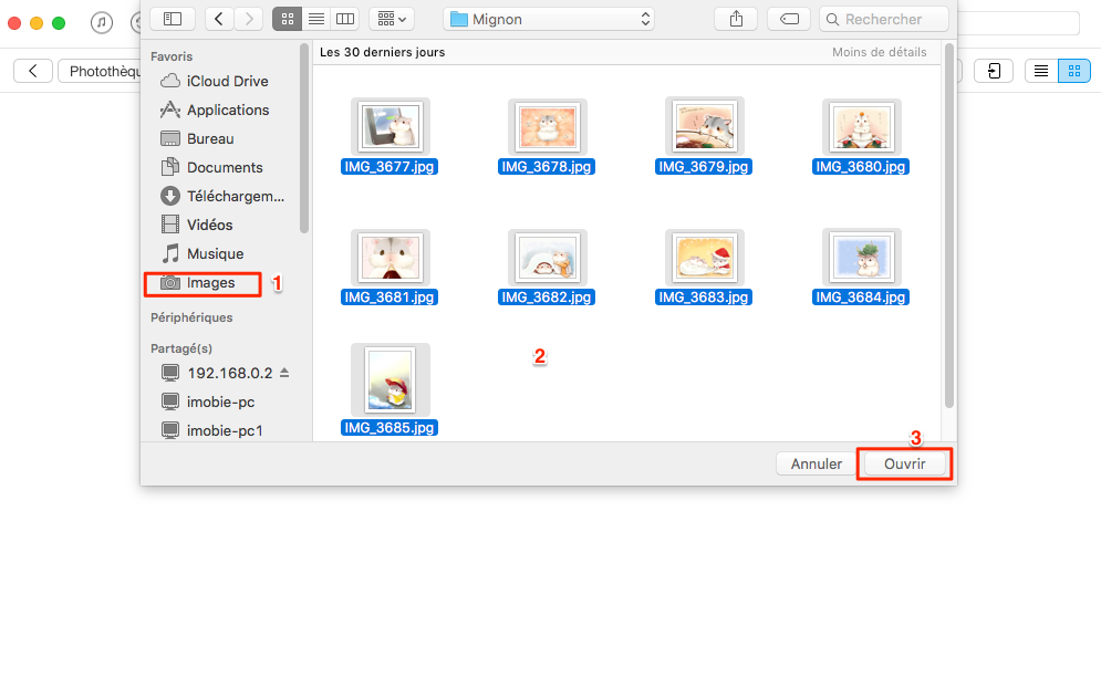 Importer les photos Mac vers iPhone avec facilité - étape 3
