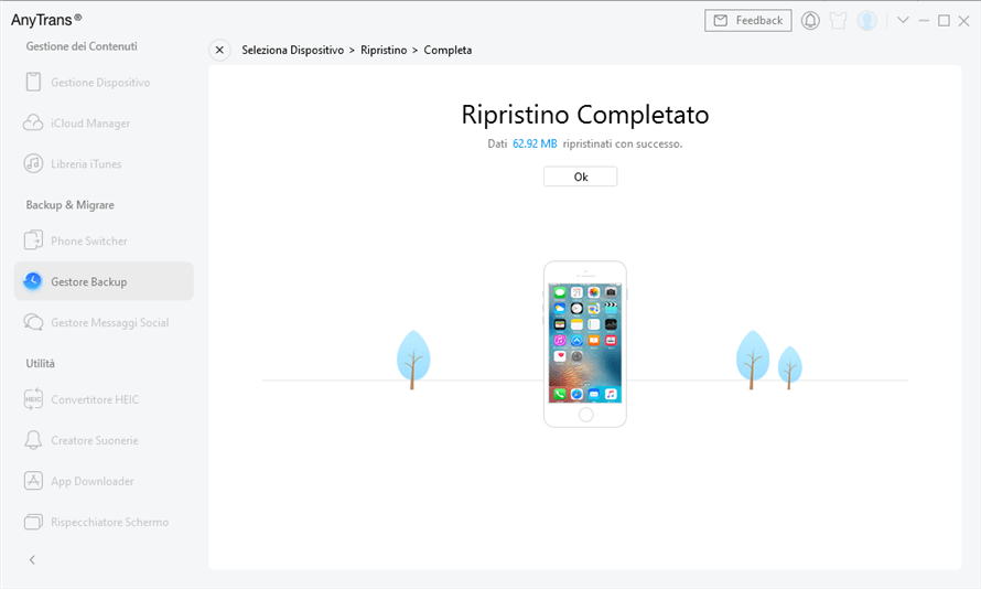 restore backup completo