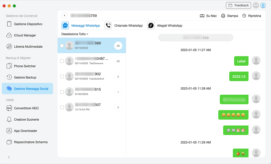 Visualizza e ripristina i messaggi WhatsApp su iPhone