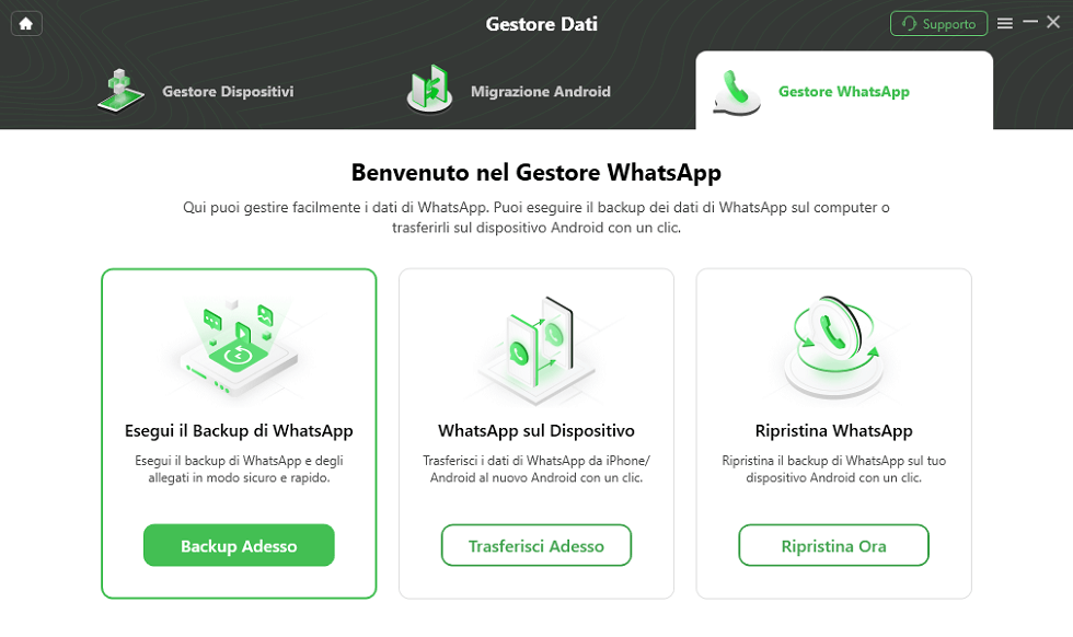 Scegli Backup WhatsApp