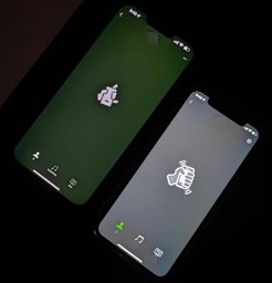 Schermo verde iPhone