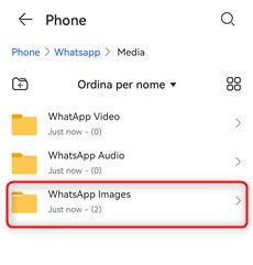 Seleziona le immagini di Whatsapp