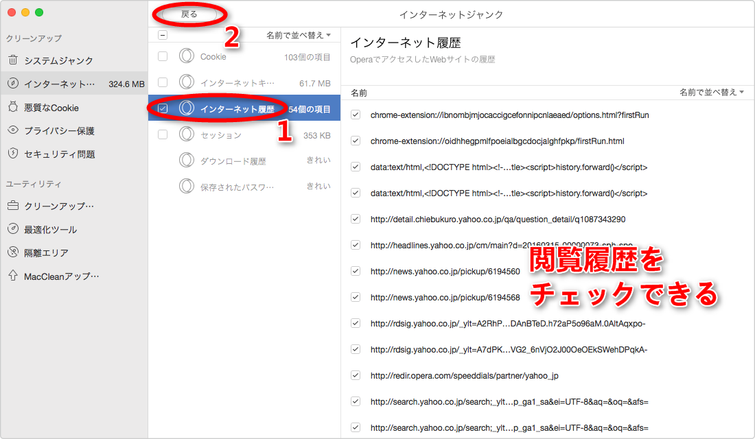 ステップ4:削除したい閲覧履歴を選択する