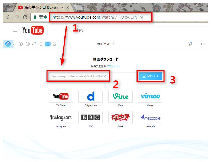 ステップ2 YouTube動画のURLをコピー&ペーストする