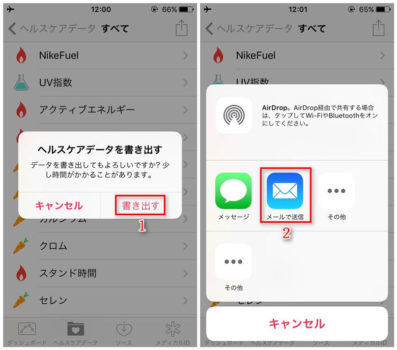iPhoneのヘルスケアのデータを取り出す-ステップ2