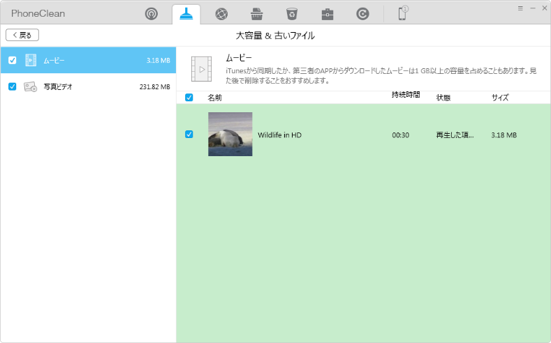 ジャンクファイルの詳細をチェック