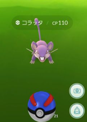 野生のポケモンにボールを投げる