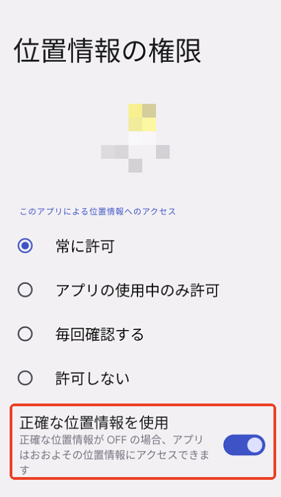 「正確な位置情報の使用」