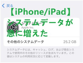 その他のシステムデータ iphone 安い