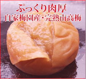 お年賀ギフト - 梅干し