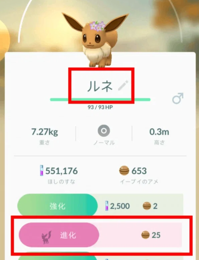 シルエットを確認する