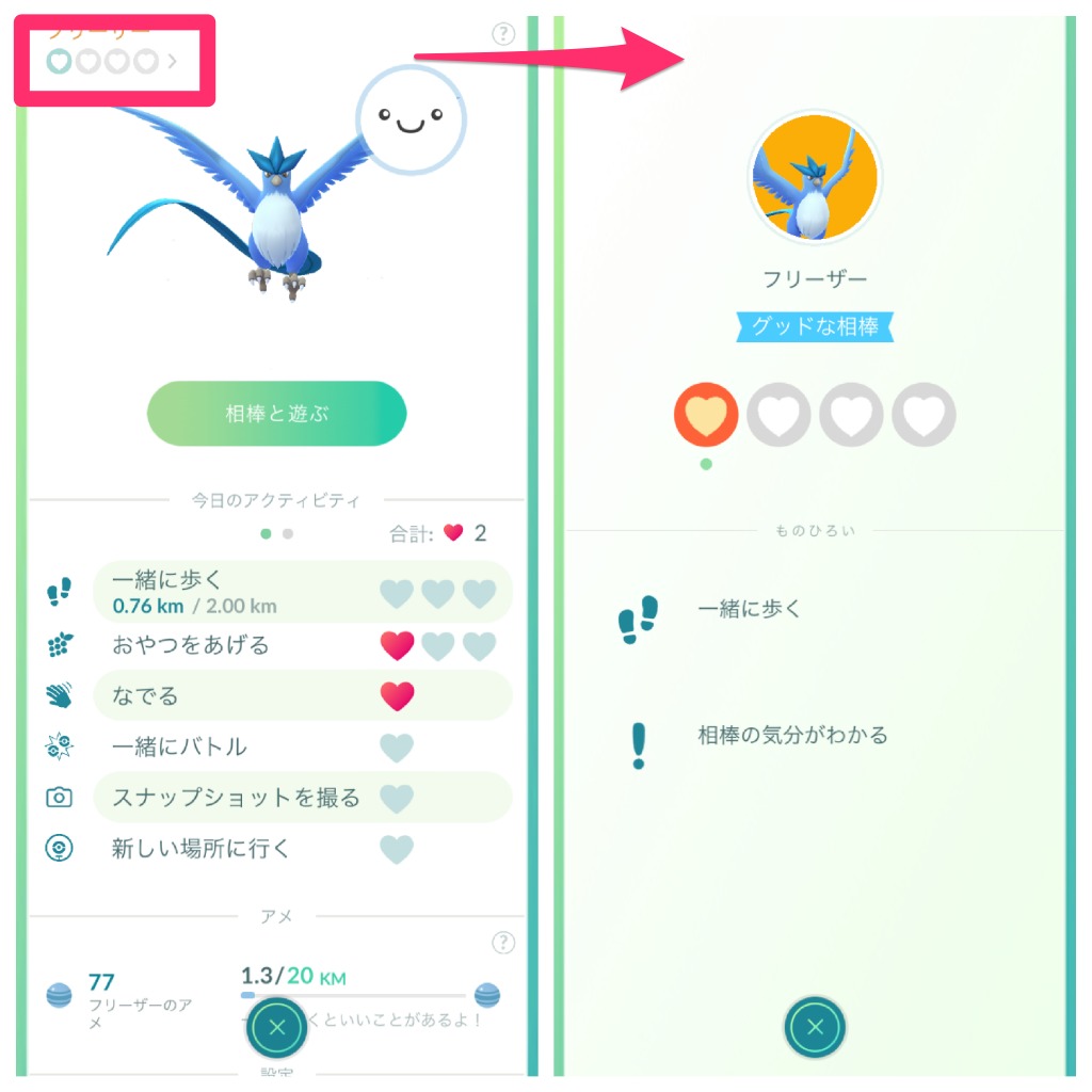 相棒レベルの確認方法