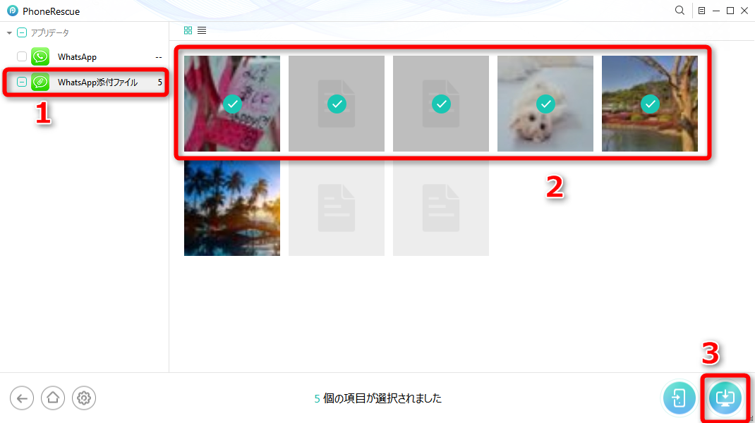 WhatsAppの添付ファイルを復元するには ステップ3