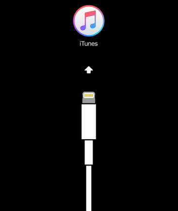 「iTunes に接続」画面