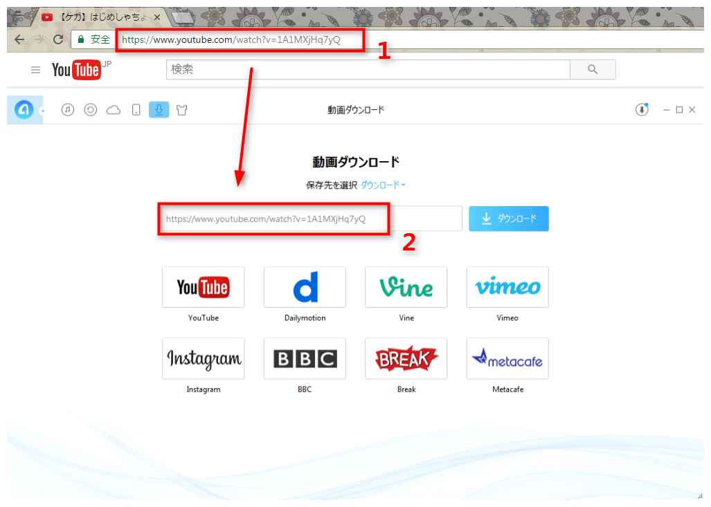 ステップ2 YouTube動画のURLをAnyTransにコピー&ペーストする