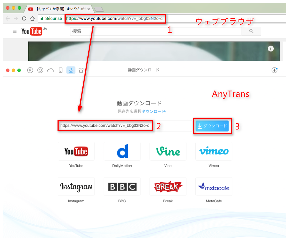 ステップ2 YouTube動画のURLをコピー&ペーストする