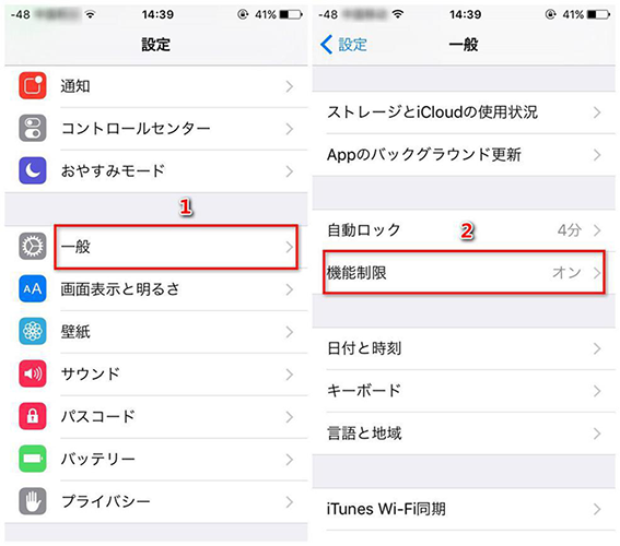 「一般」から「機能制限」をタップ