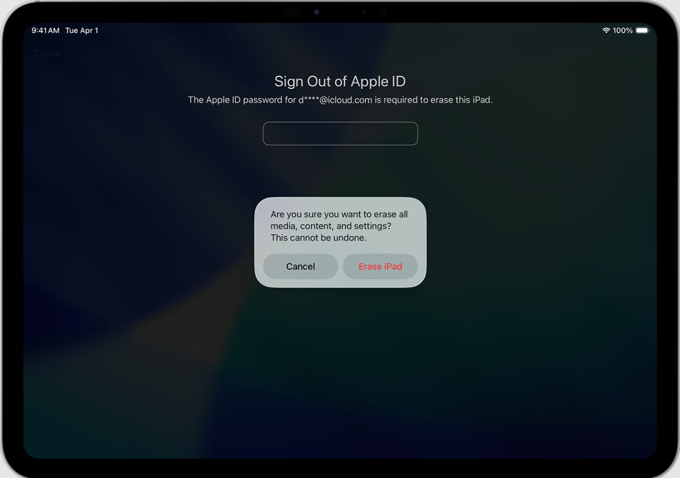Erase iPad seçeneğini onaylayın