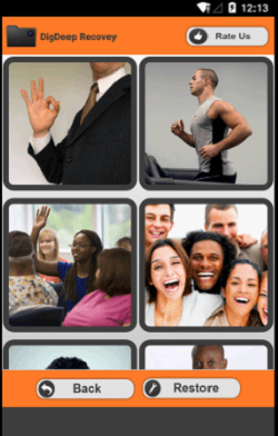 DigDeep Image Recovery