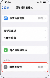 開發者模式