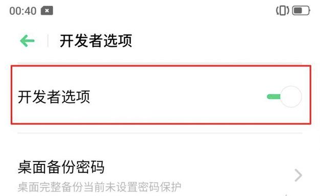 開發者選項