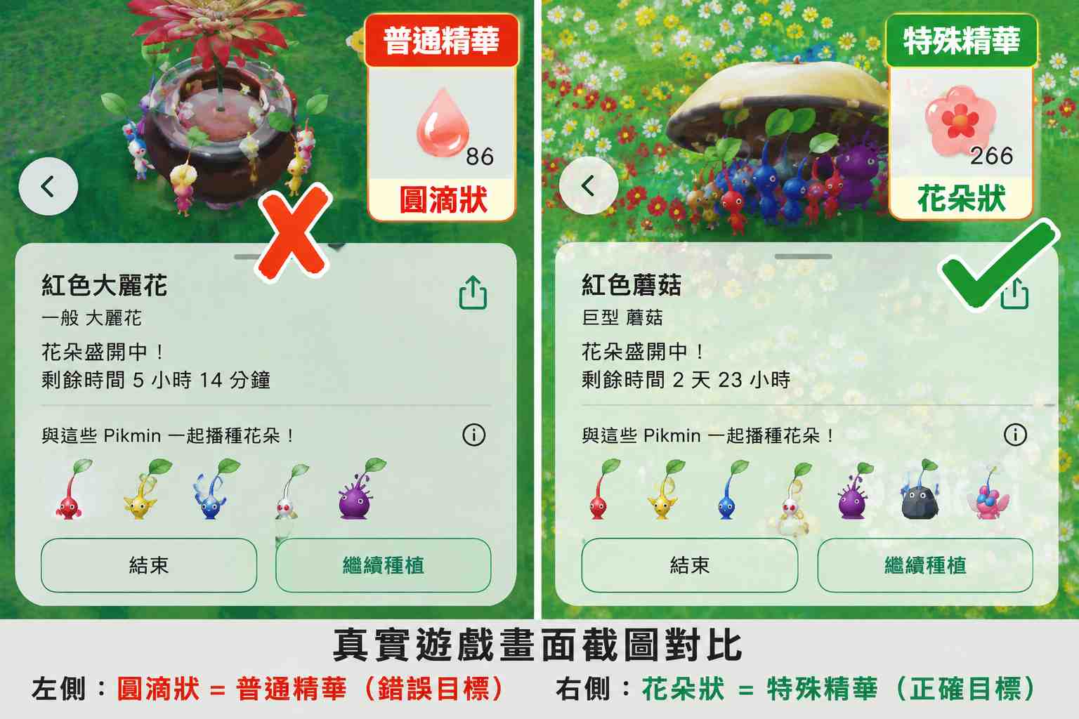 普通精華與特殊花朵精華