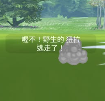 寶可夢逃跑